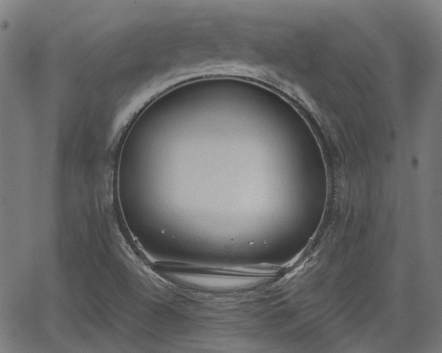 X0000065971504200603101344