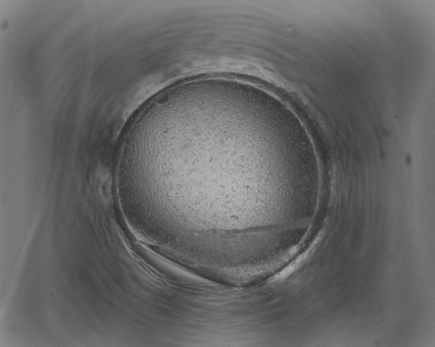 X0000065971505200603101344