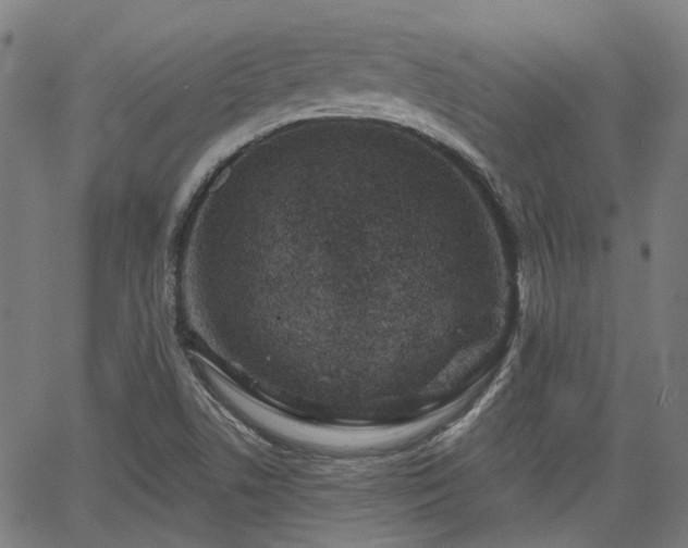 X0000065971506200603101344