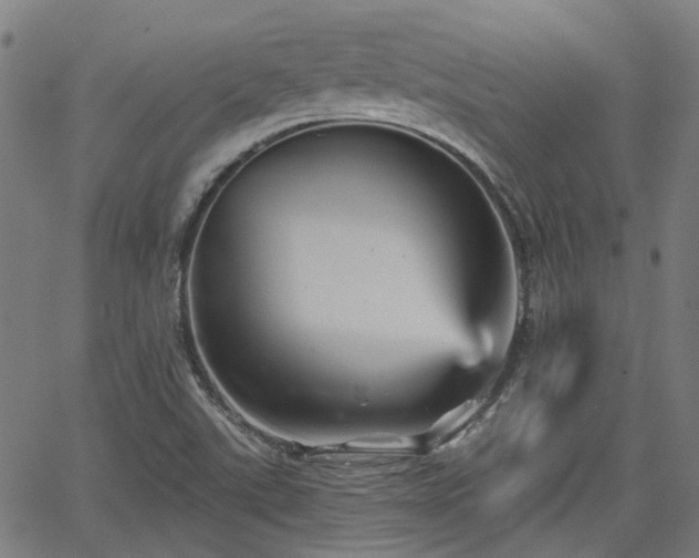 X0000065971507200603101344