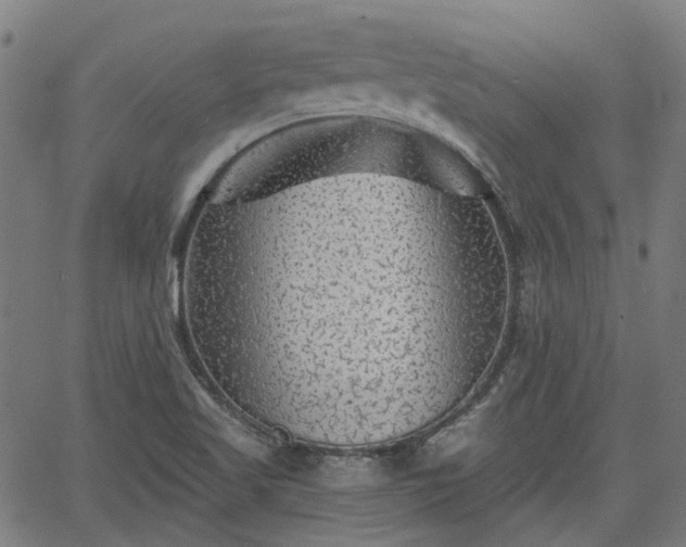 X0000065971509200603101344