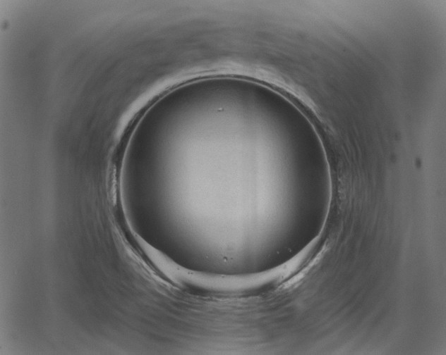 X0000065971510200603101344