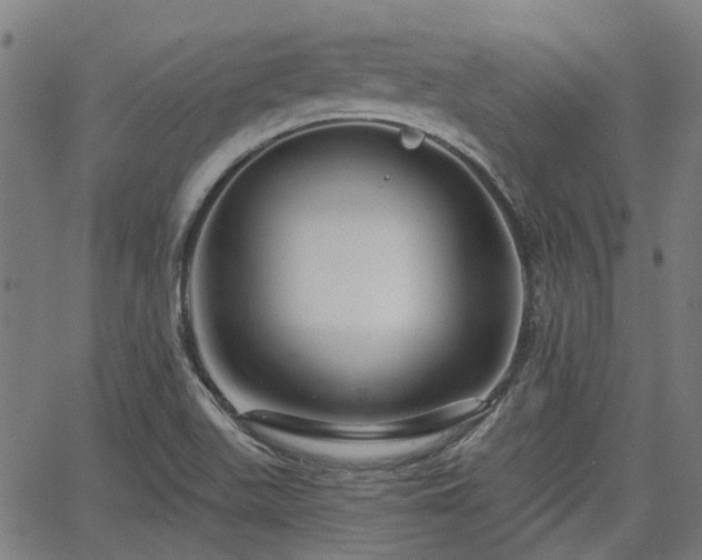 X0000065971511200603101344