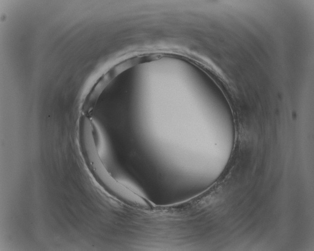 X0000065971512200603101344