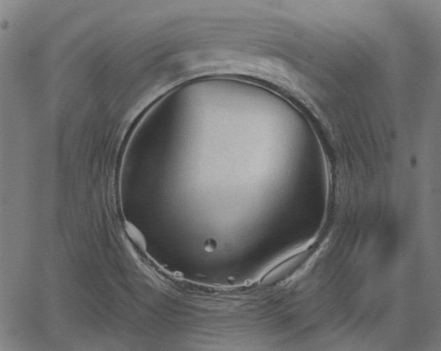 X0000065971513200603101344