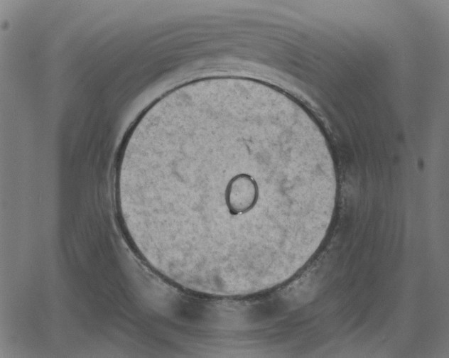 X0000065971514200603101344