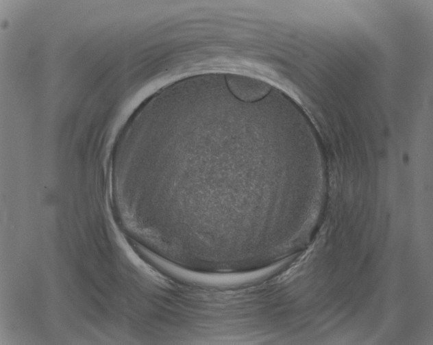 X0000065971515200603101344