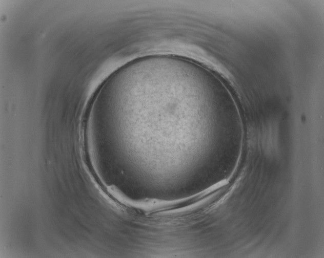 X0000065971517200603101344