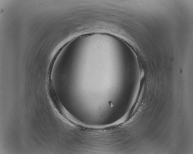 X0000065971518200603101344