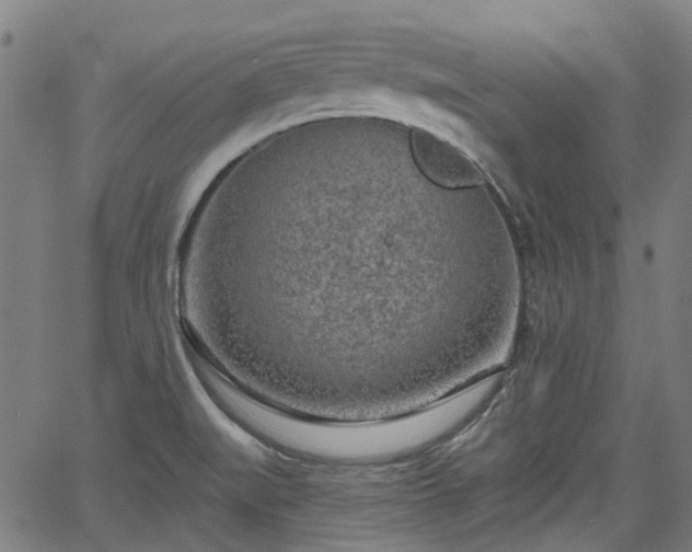 X0000065971519200603101344