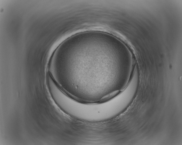 X0000065971520200603101344