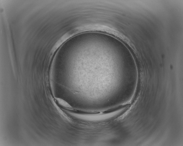 X0000065971521200603101344