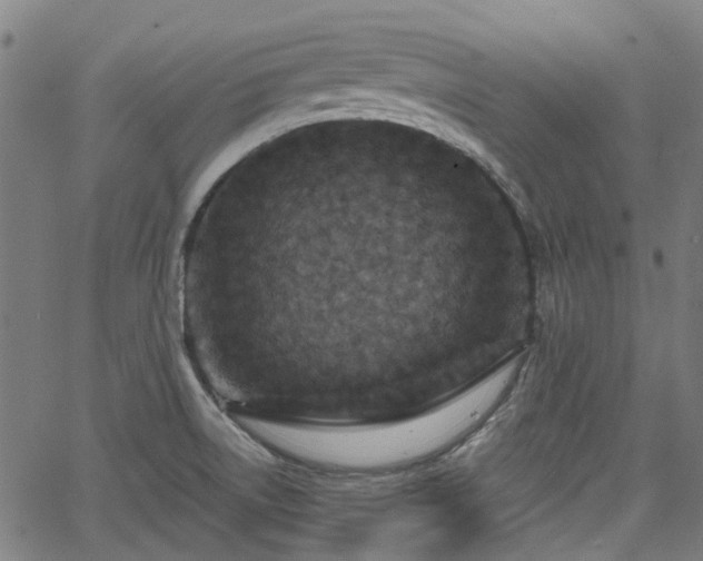 X0000065971522200603101344