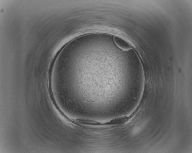 X0000065971523200603101344