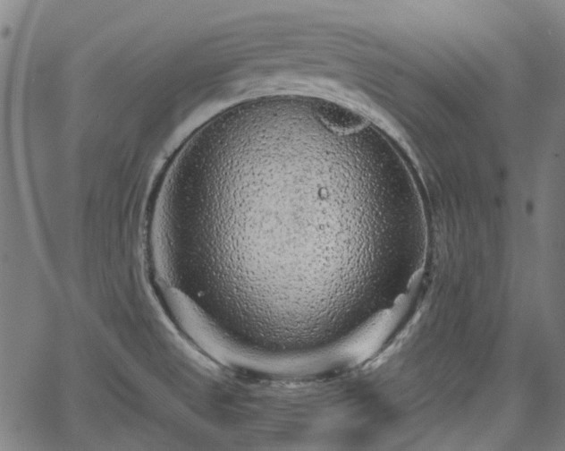 X0000065971525200603101344