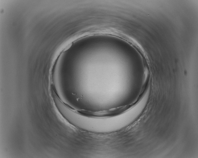 X0000065971528200603101344