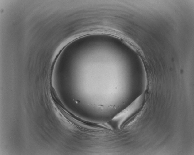 X0000065971530200603101344