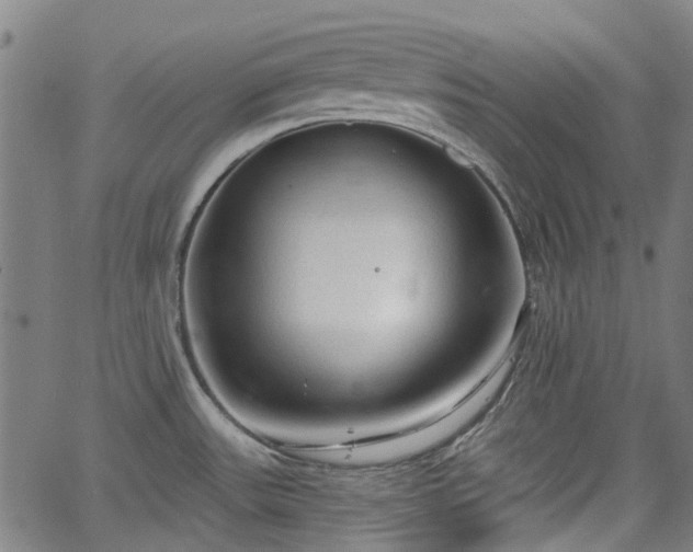 X0000065971531200603101344