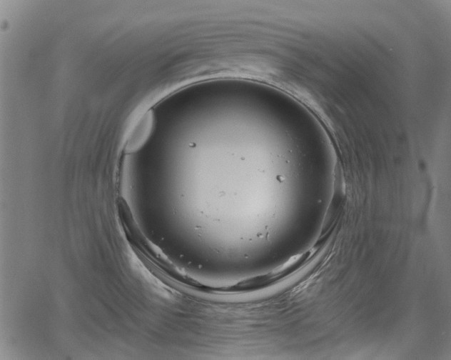 X0000065971532200603101344