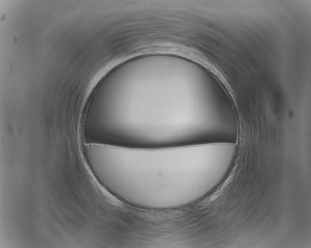 X0000065971533200603101345