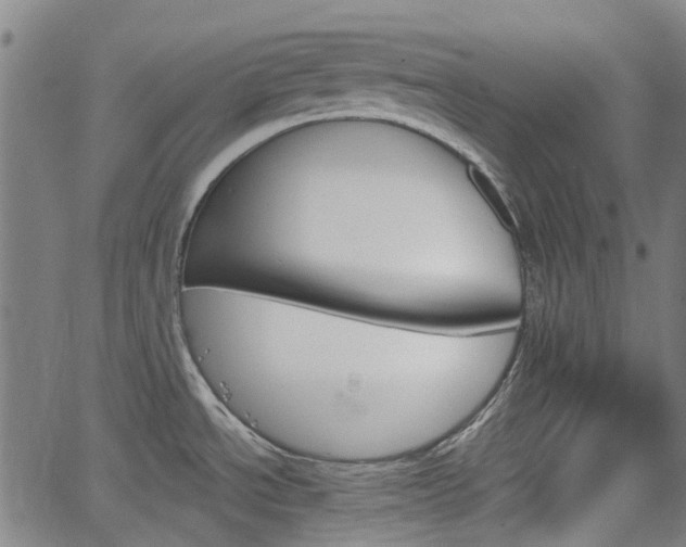 X0000065971534200603101345