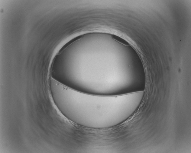 X0000065971536200603101345