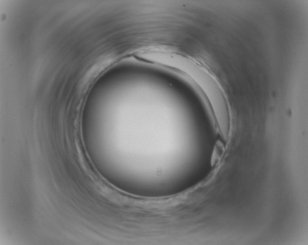 X0000065970001200603172102