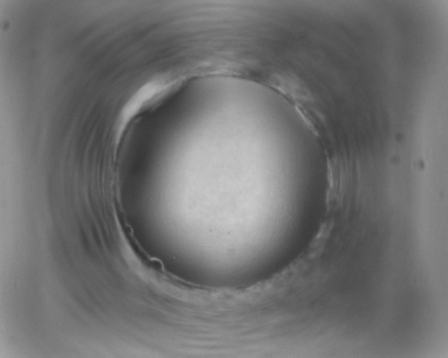 X0000065970003200603172102