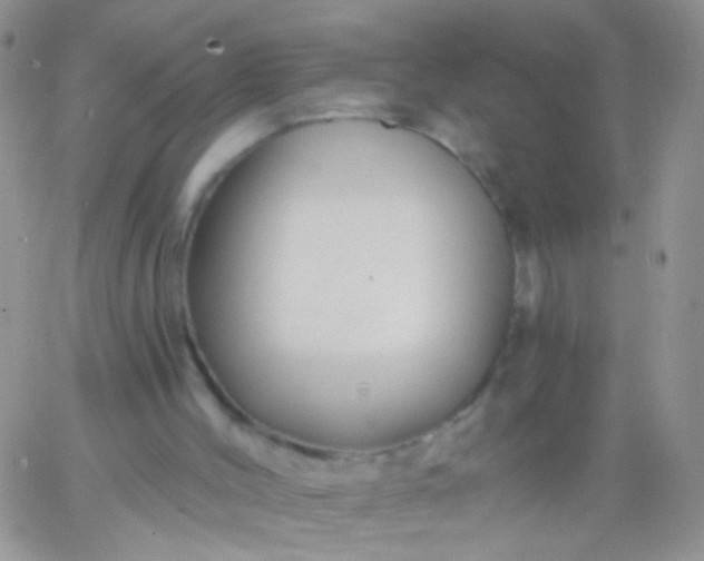 X0000065970004200603172102