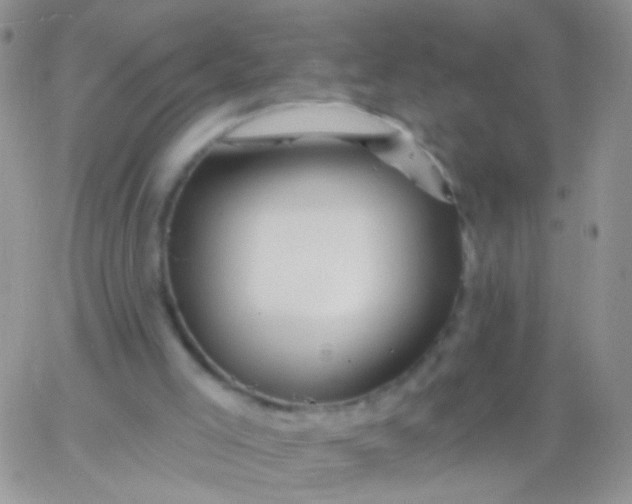 X0000065970005200603172101