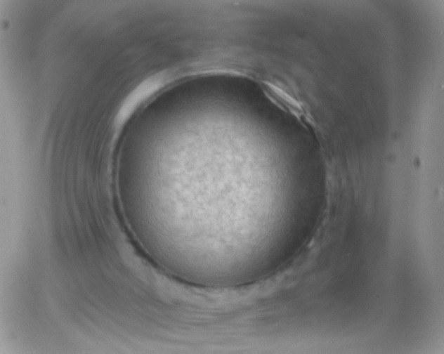 X0000065970006200603172101