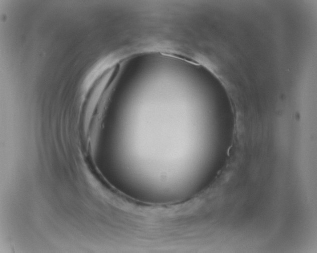 X0000065970007200603172101