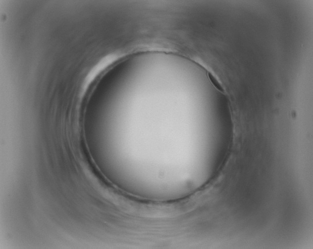 X0000065970008200603172101