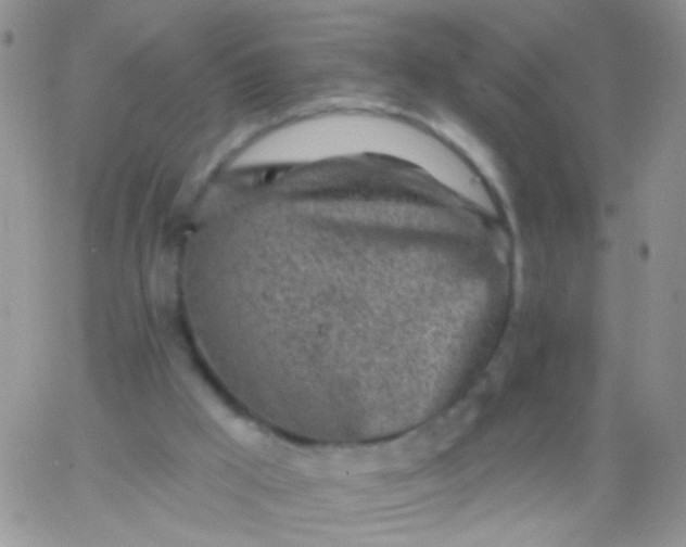 X0000065970009200603172101