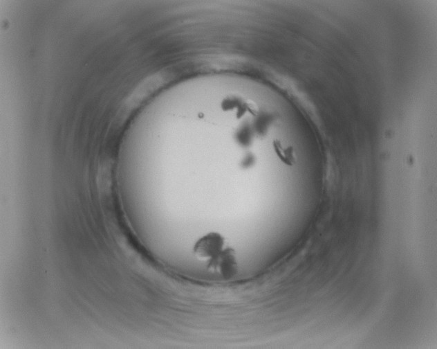 X0000065970010200603172101