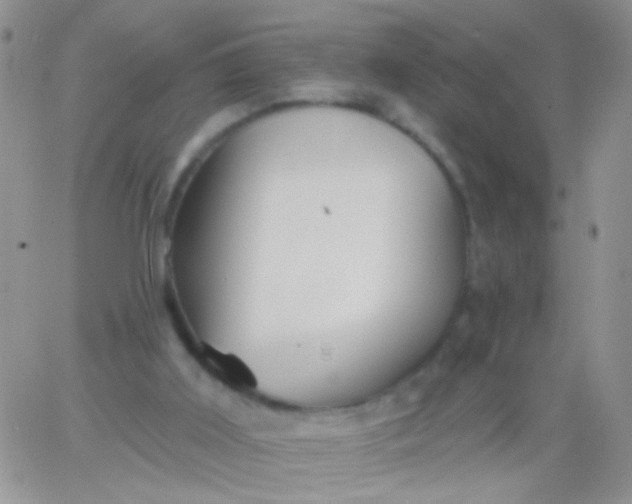 X0000065970011200603172101