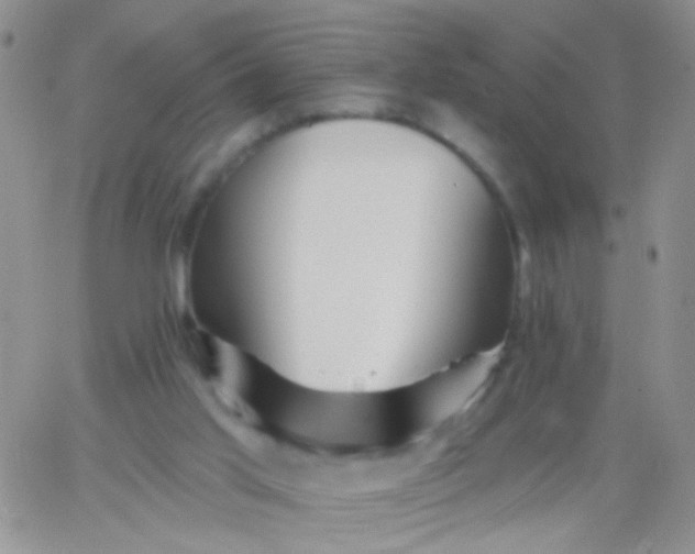 X0000065970013200603172101