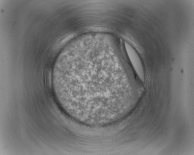 X0000065970014200603172101