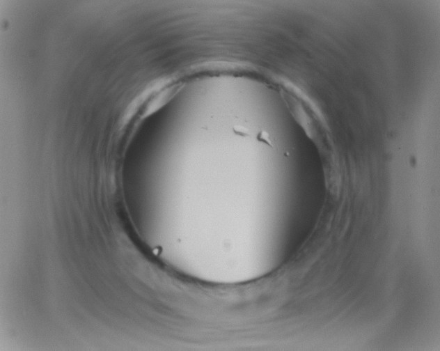 X0000065970015200603172101