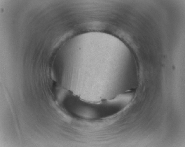 X0000065970017200603172101