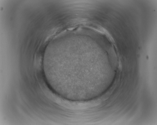 X0000065970018200603172101