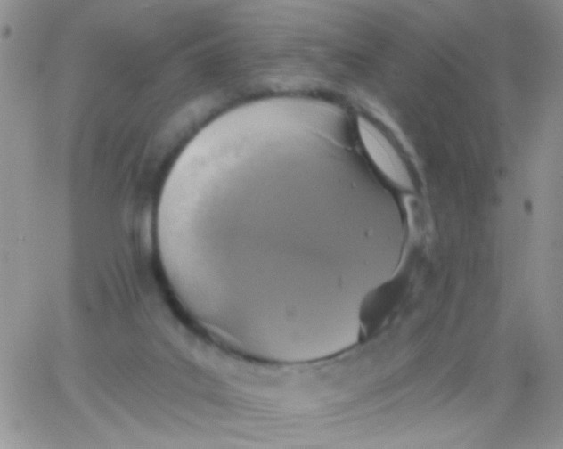 X0000065970019200603172101