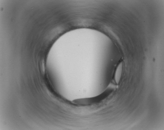 X0000065970020200603172101