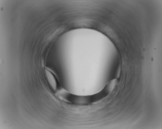 X0000065970021200603172101