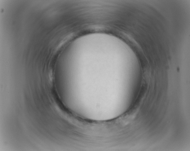 X0000065970024200603172101