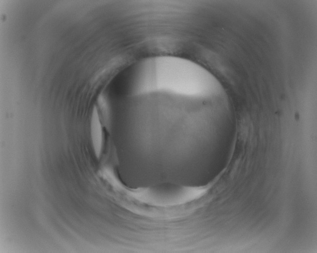 X0000065970027200603172101