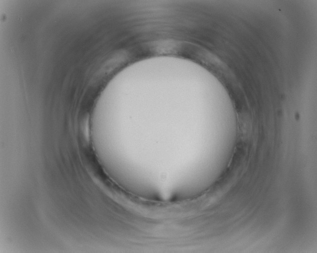 X0000065970028200603172101