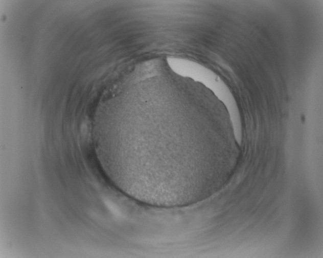 X0000065970029200603172101