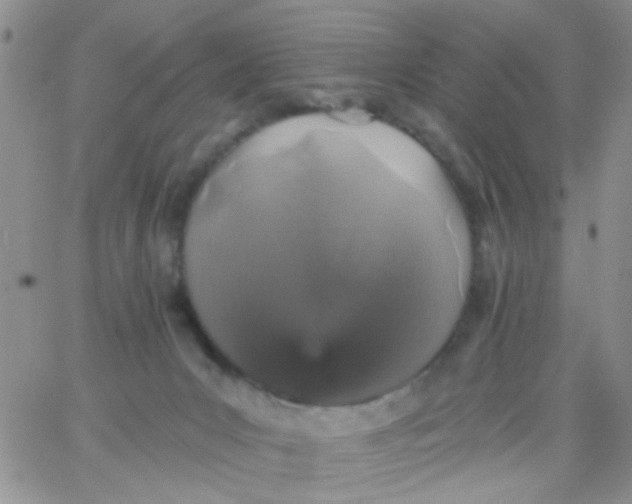 X0000065970031200603172101