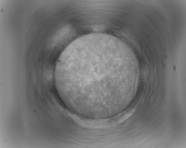 X0000065970032200603172101